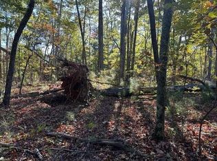 0 Ridgeway Church Rd LOT 9, Ellijay, GA 30540