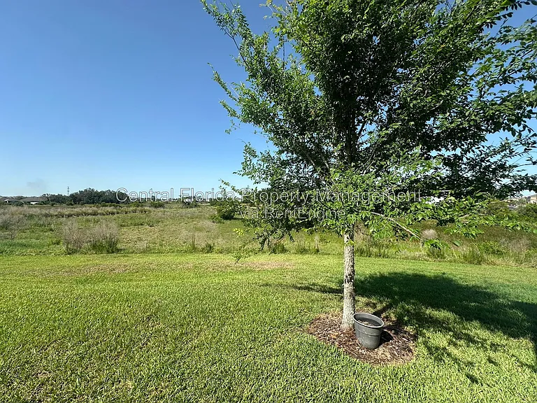 172 Primrose Dr — Photo 29