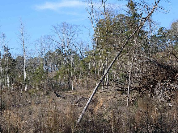 5th image of County Road 1627