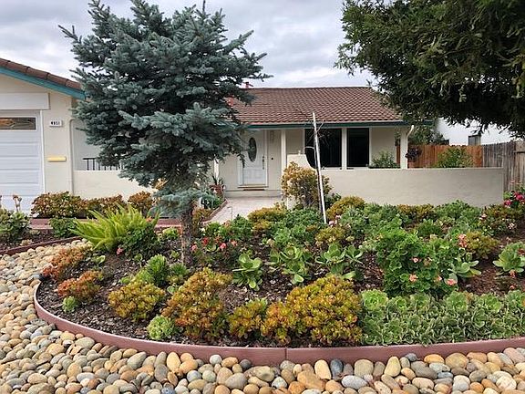 Beautiful low maintenance landscaping in front yard