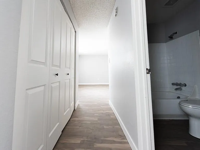 Studio Closet/Hallway