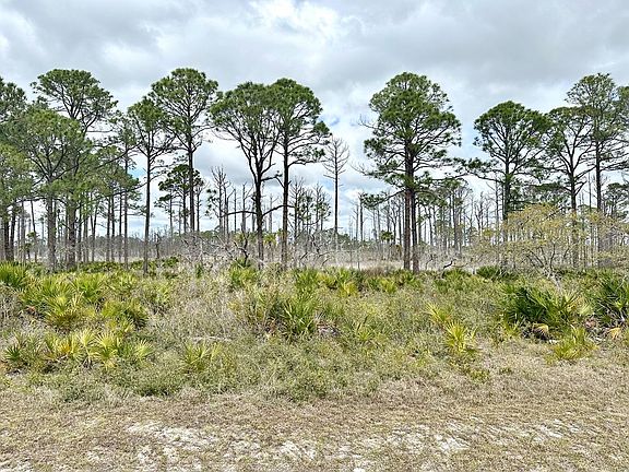 3rd image of Lot 48 SW 100th Pl
