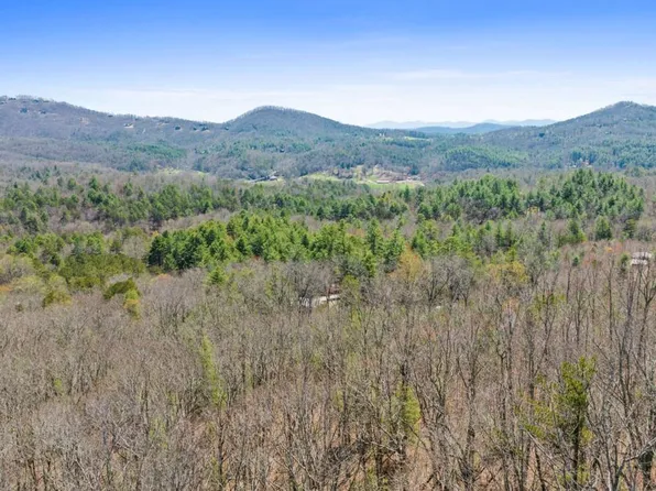 40B Synacia Dr, Mineral Bluff, GA 30559