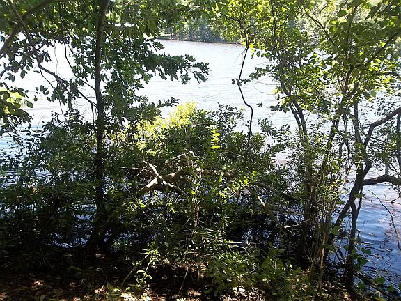 5th image of Caney Lake Off Hwy #810