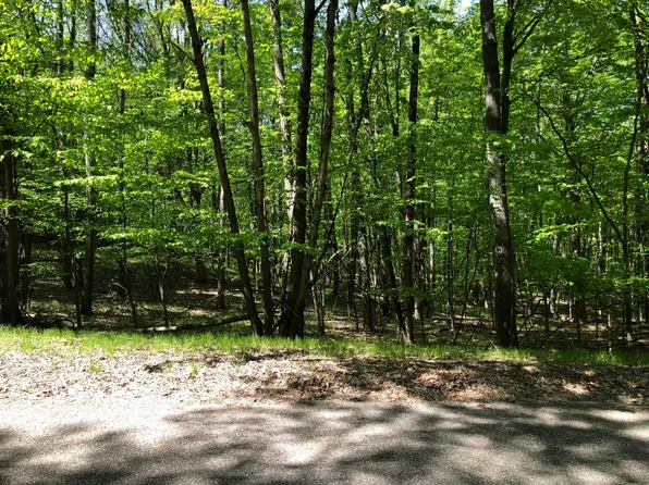 11914 Broken Arrow Ln #238, Stanwood, MI 49346