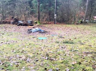 56106 343rd Avenue Ct E, Ashford, WA 98304