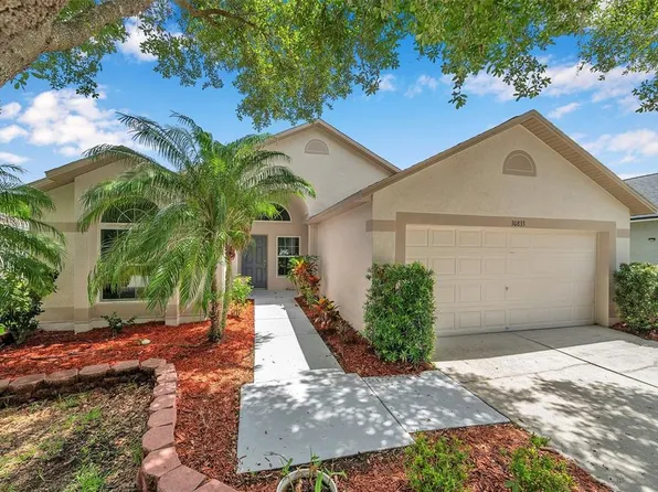 30833 Birdhouse Dr, Wesley Chapel, FL 33545