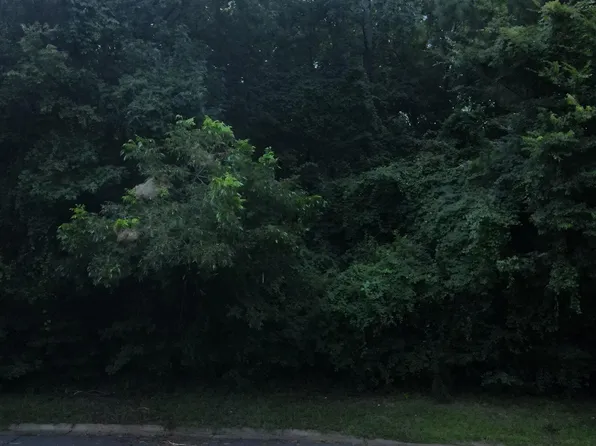 N Park Dr, Arkadelphia, AR 71923