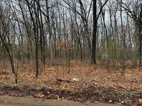 Mary St, Wellston, MI 49689