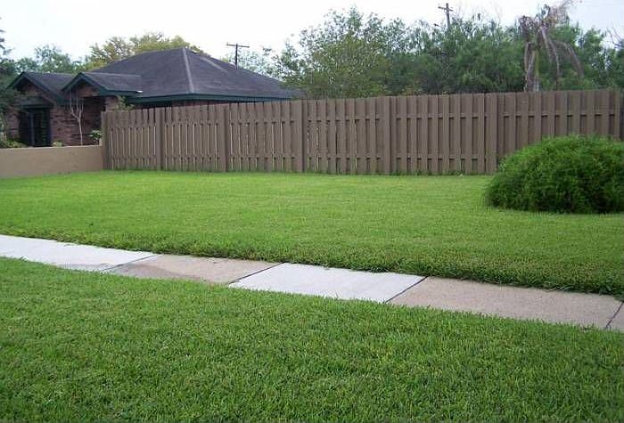 Backyard Lot #5