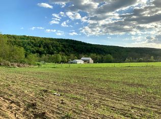 11495 Miner Rd, West Winfield, NY 13491