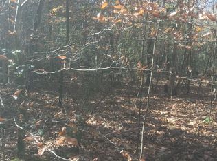 2203 Roger Vanhook Rd, Clarkesville, GA 30523