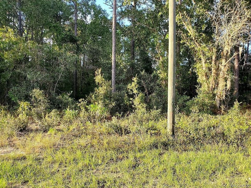1st image of 3295 W Cushion Dr