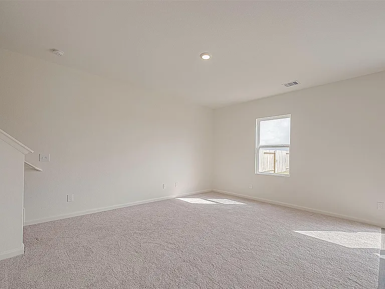 3993 Fringetree Ln — Photo 3