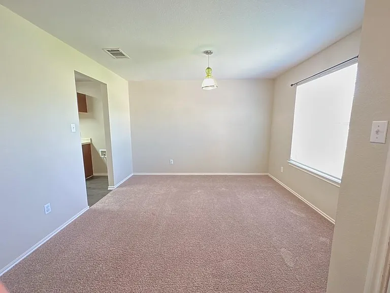 1000 Bluff Meadow Cv — Photo 3