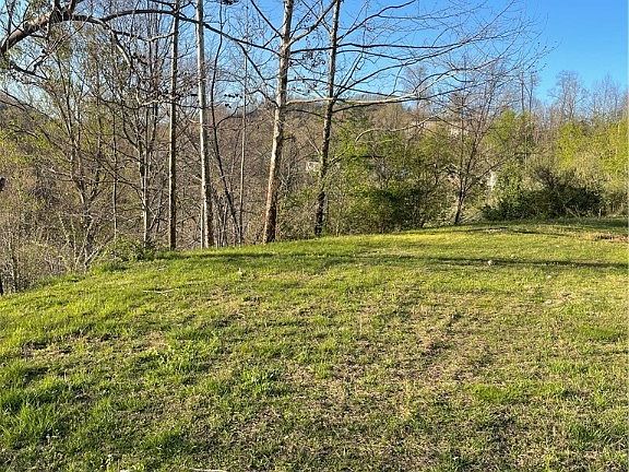 5th image of 176 Almost Heaven Ln