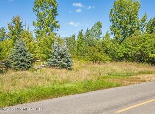 0 Tomlinson Rd, Mason, MI 48854