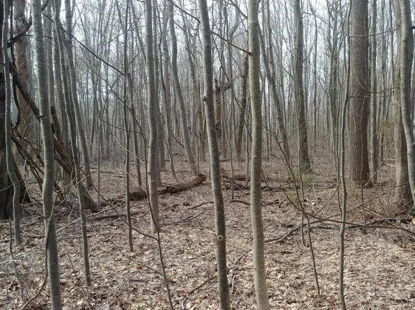 0 Silver Rd, Fennville, MI 49408