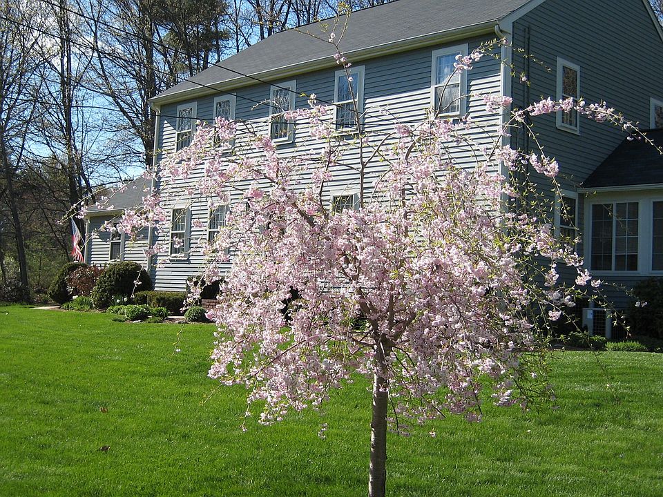 2nd image of 7 Brook Way