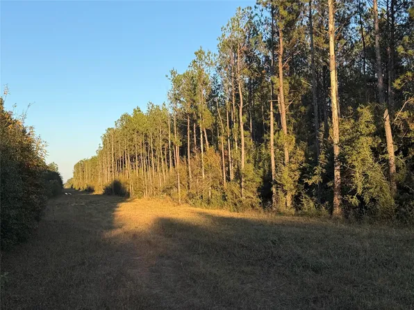 LOT 39 Carter Ranch Rd Lot 39, Kountze, TX 77625