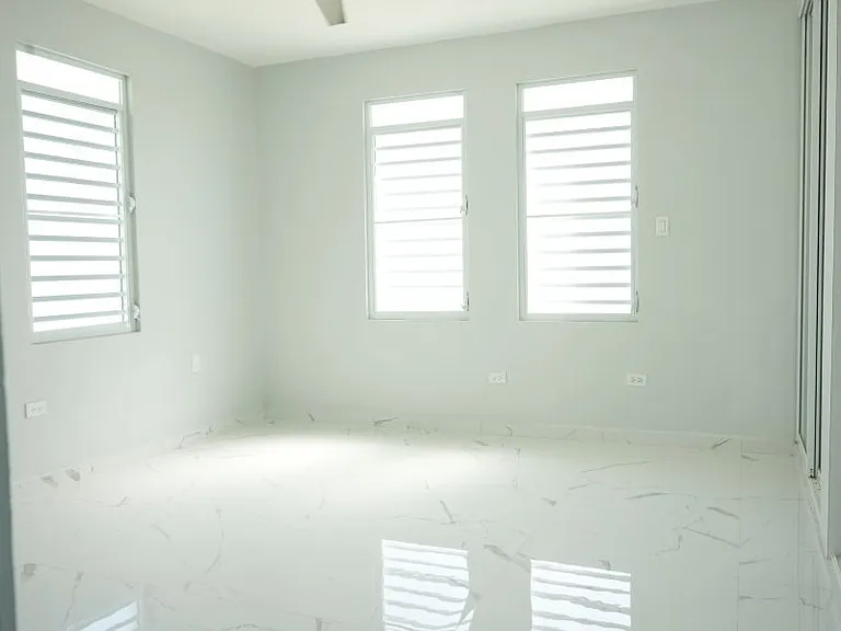 Bo Cotto Calle Apolonio Velez PR 113 — Photo 15