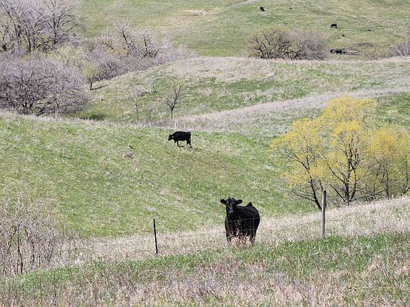 5th image of Rural Hwy #12