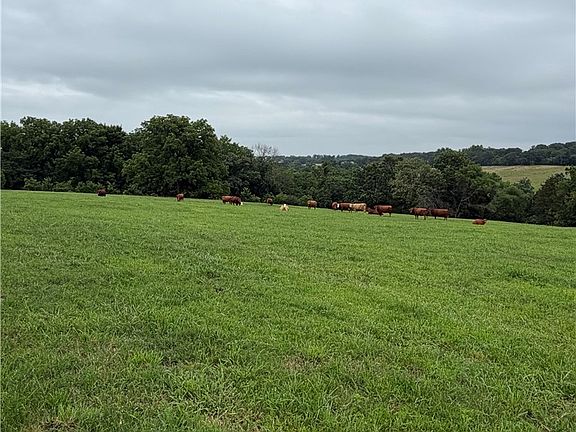 4th image of County Road 440