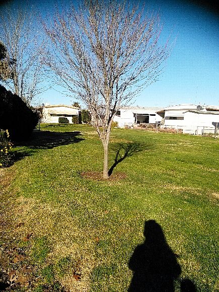2nd image of 8665 Florin Rd Unit 163