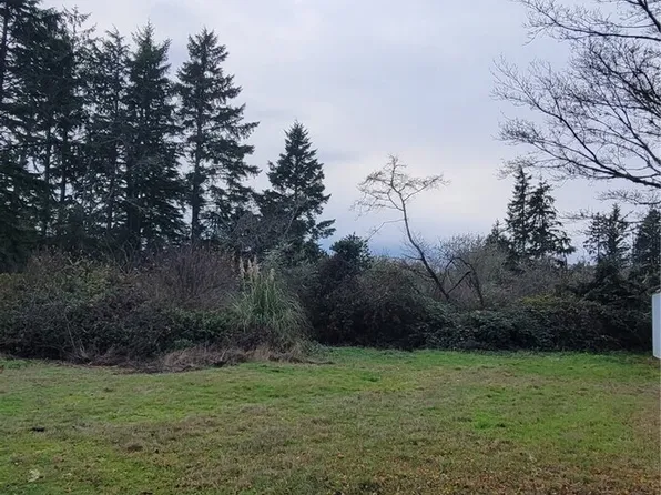 0 Y LN, Ocean Park, WA 98640