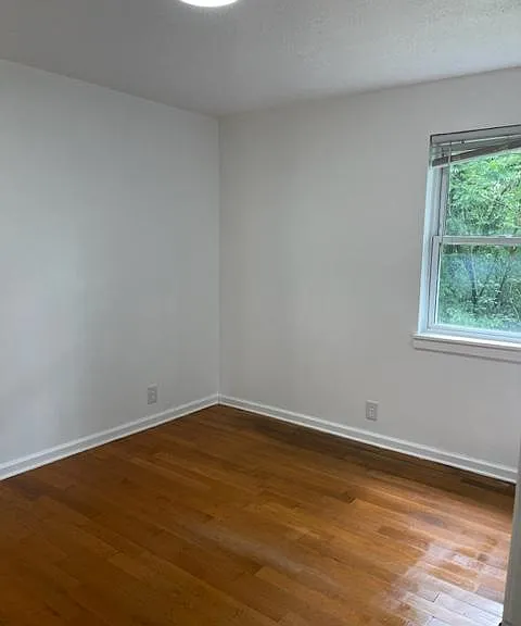 3684 Reed Rd — Photo 7