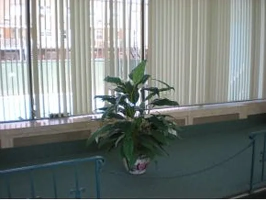 Sold by Bright Horizons Realty | media 4