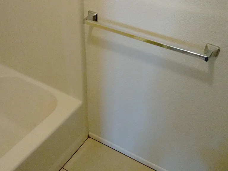 Master bathtub