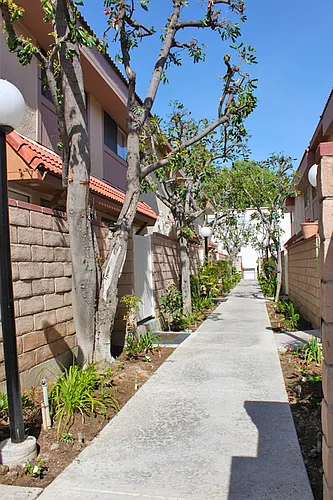 Gresham Townhomes Photo 1