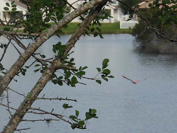2nd image of 14051 Portrush Dr