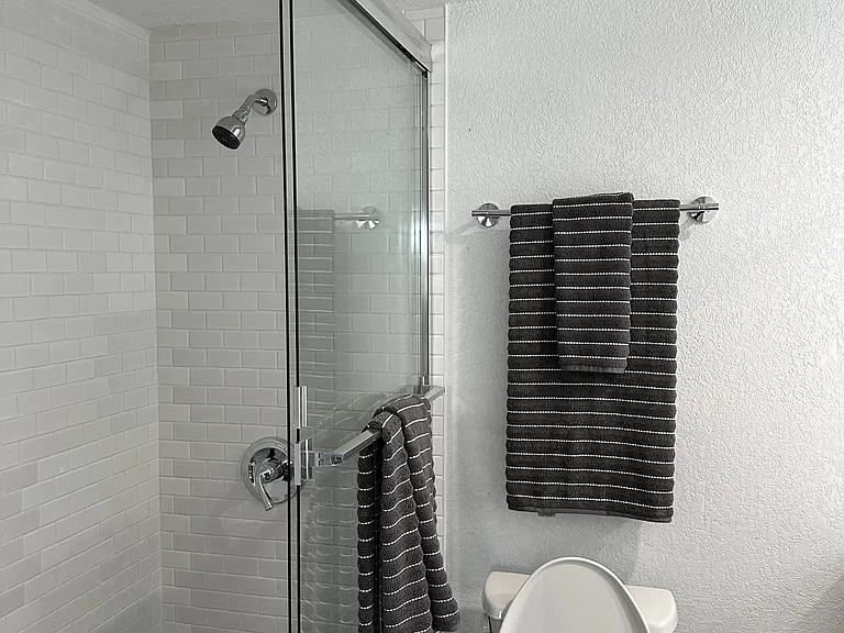King Ensuite with walk in shower