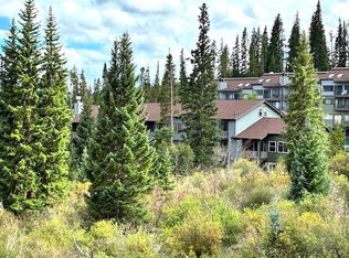 10000 Ryan Gulch Rd #G-106, Silverthorne, CO 80498