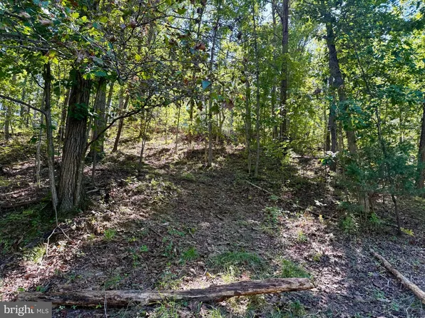 LOT-147C Tea Berry Rd, Maurertown, VA 22644