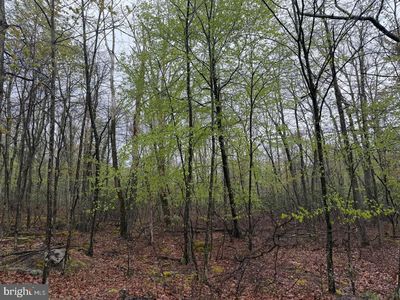569 Haystack Dr, Zion Grove, PA, 17985