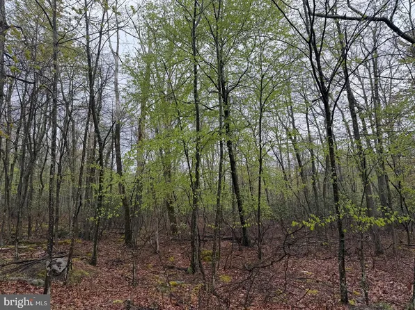 569 Haystack Dr, Zion Grove, PA 17985