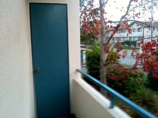 2 bed, 1310 sqft, $3,600 — Photo 4