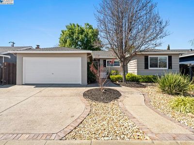 43013 Everglades Park Dr, Fremont, CA, 94538
