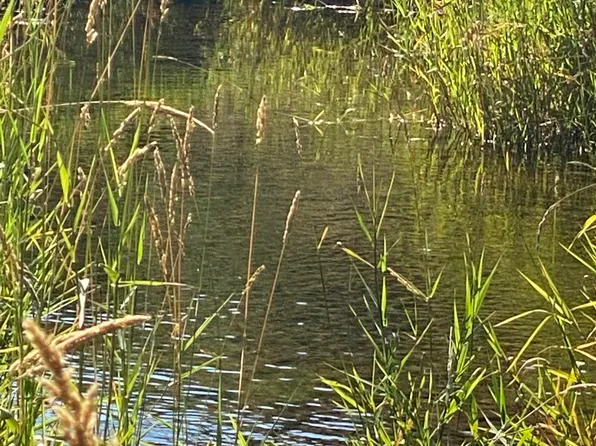 Nka Railroad St, Calder, ID 83808