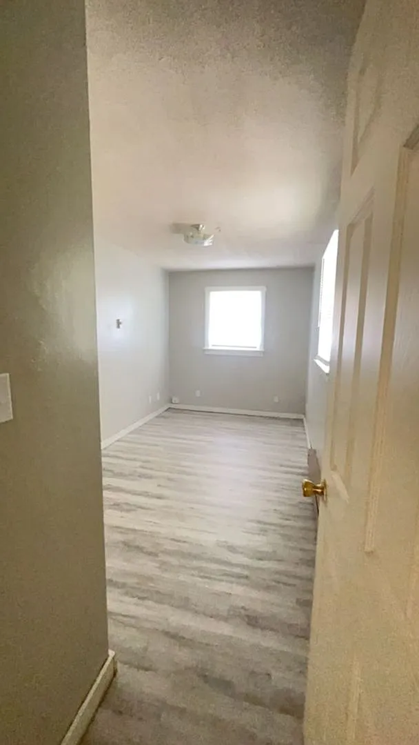 1514 W Jackson Apt 5 - Close to Campus — Photo 3
