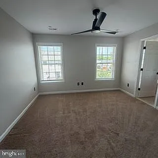 100 Sand Dollar Cv — Photo 16