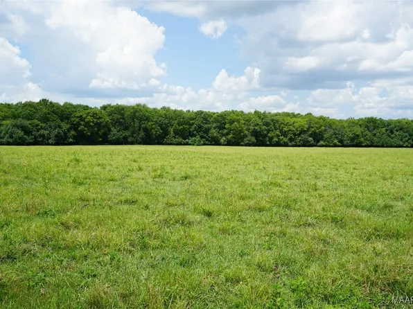 1105 Rittenour Rd, Pike Road, AL 36064