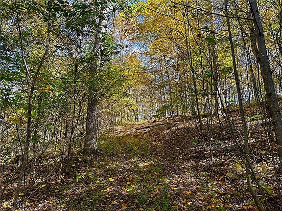 5th image of 0 Clark Rd