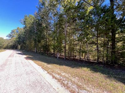 4070 Cerro Gordo Rd, Olivehill, TN, 38475