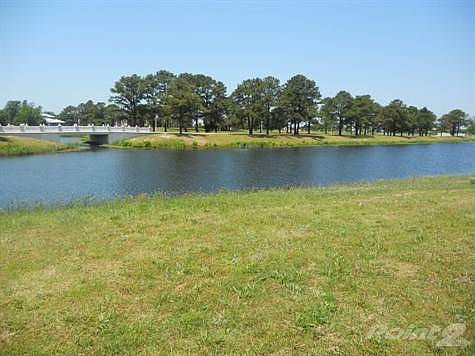 Pond View