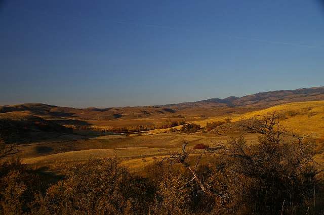 2nd image of Tbd Meadows Ln