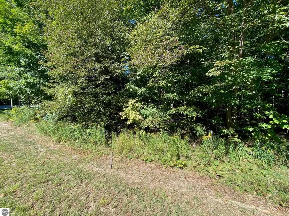 LOT 130 E Sugar Maple Dr, Cedar, MI 49621